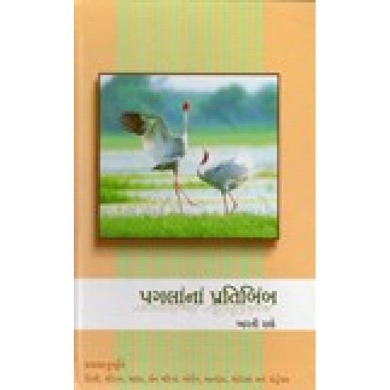 PAGALANA PRATIBIMB PAGALANA PRATIBIMB