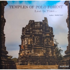 TEMPLES OF POLO FOREST LOST IN TIME